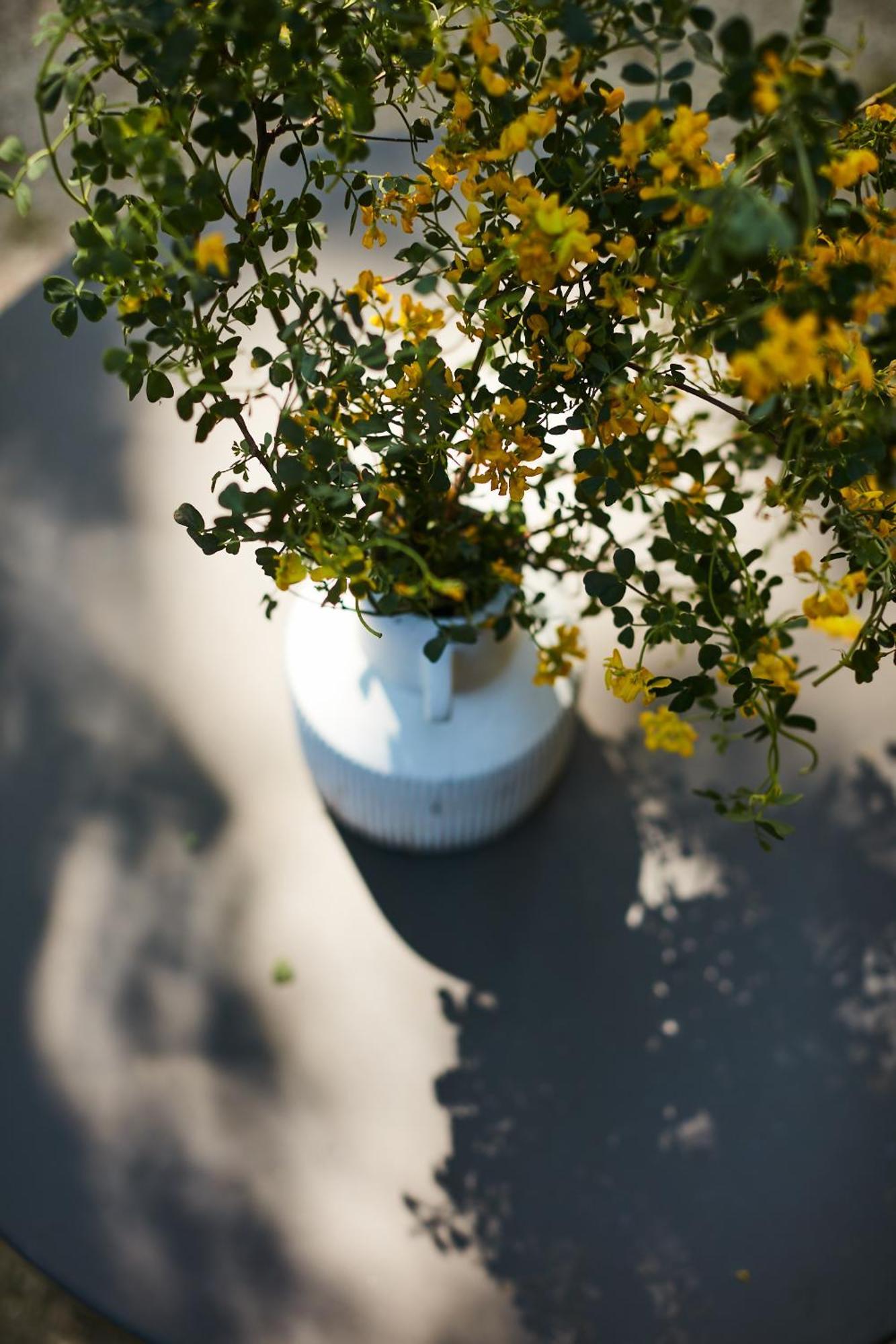 Uchaux Fontclaire En Provence B&B 외부 사진
